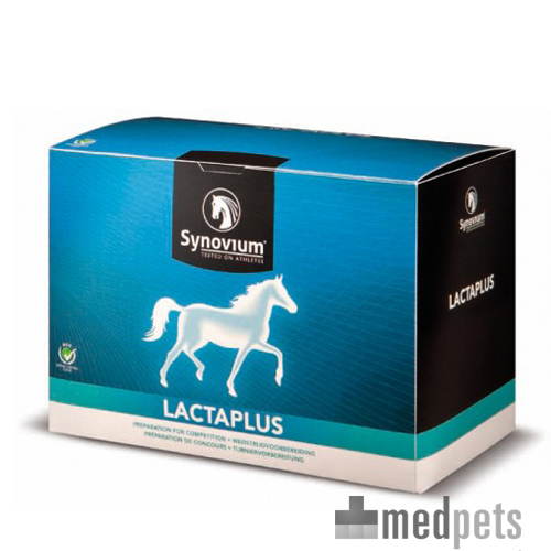 Synovium Lactaplus