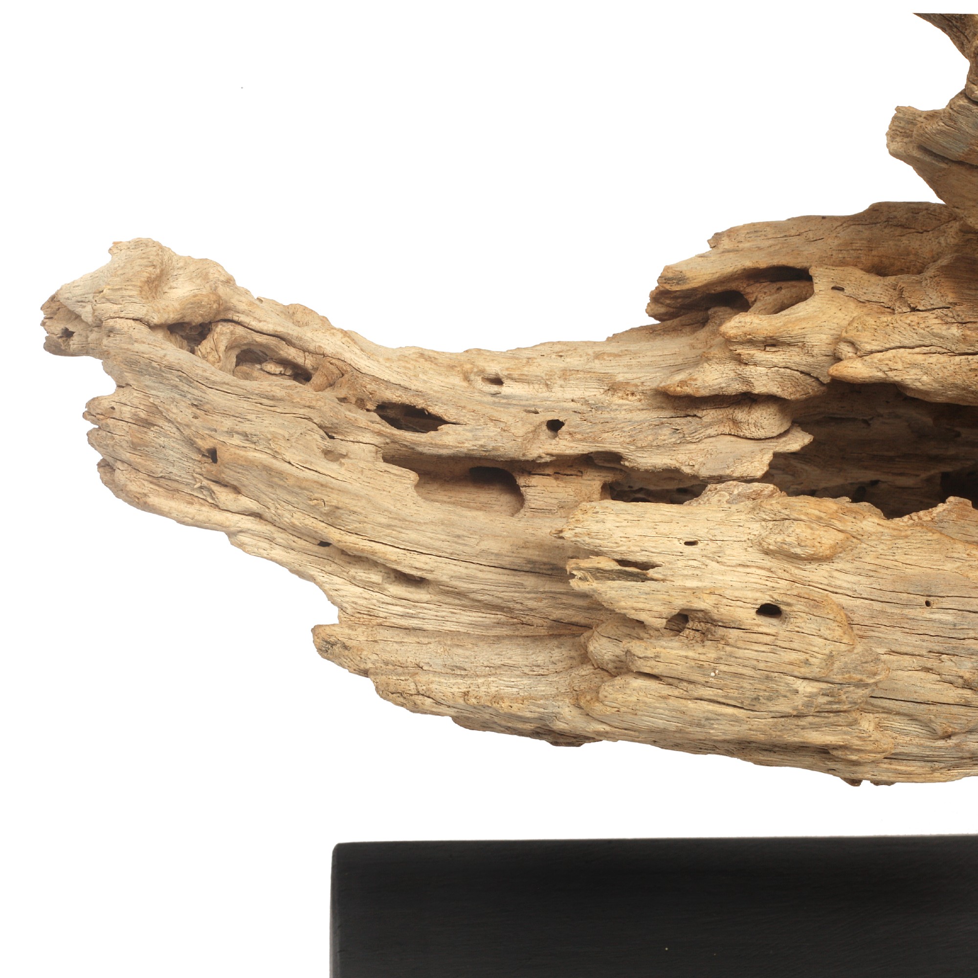 Wurzelholz-Skulptur auf Ständer, 45-55 cm von fischer's lagerhaus