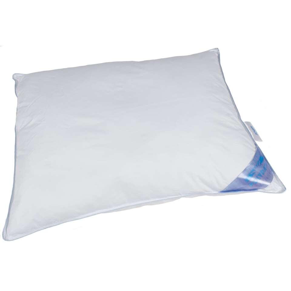 Polydaun hoofdkusssen Guusje - wit - 60x70 cm