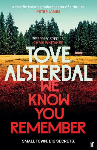 We Know You Remember - High Coast series (Paperback)