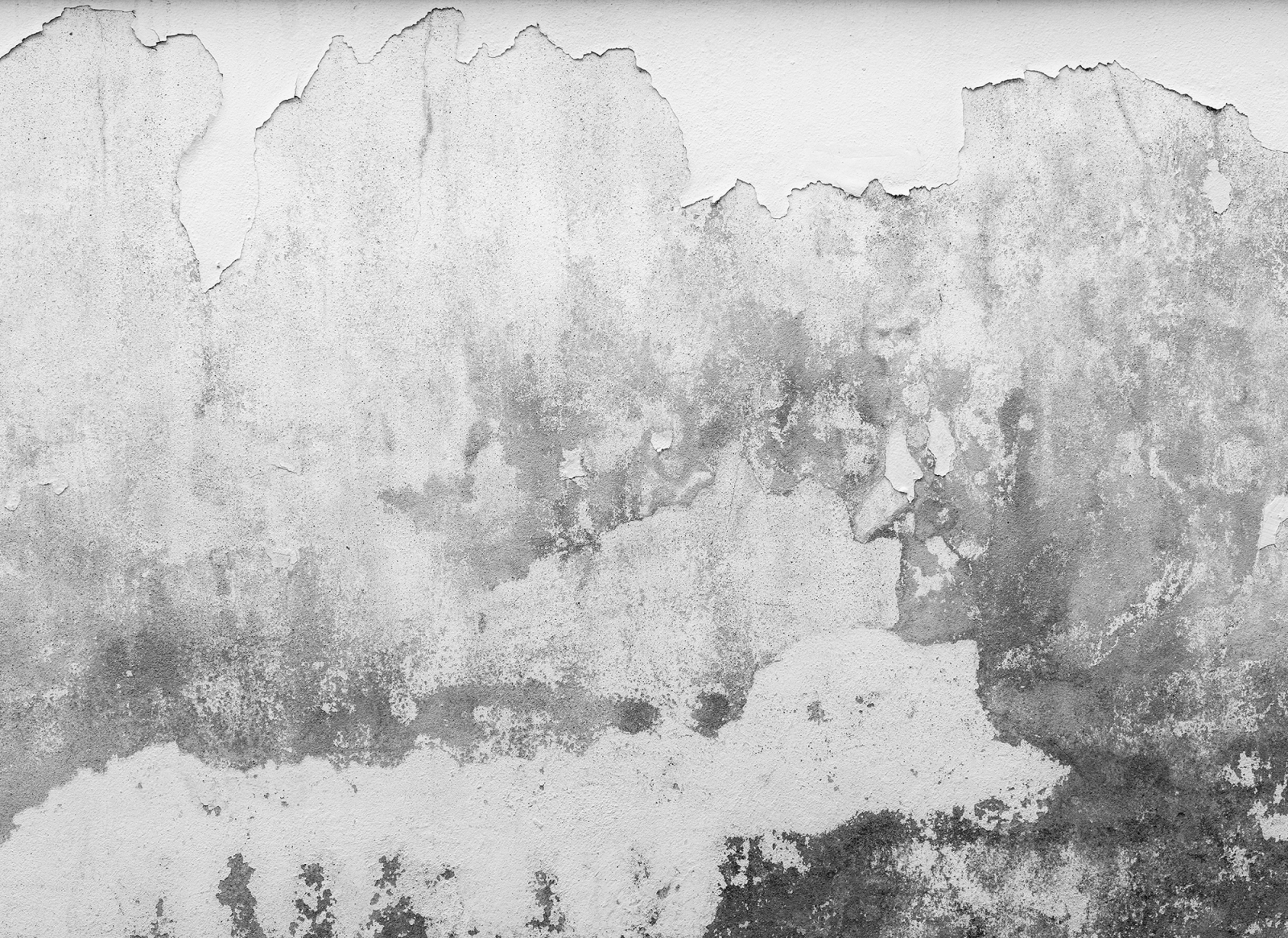 Fototapete DESIGNWALLS - weiß-grau - Beton - 2,55 Meter