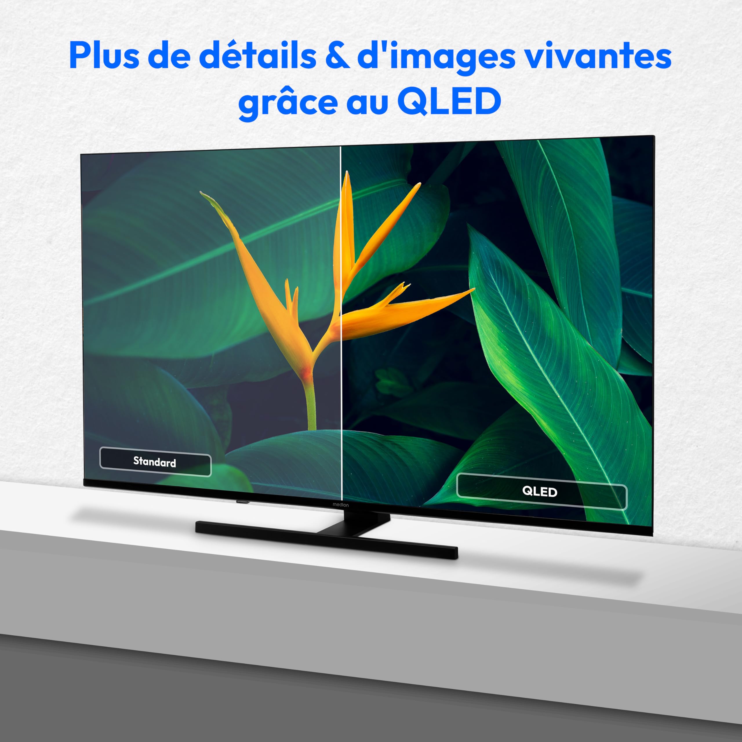 MEDION TV 50 Pouces (125,7 cm) QLED Television (Smart TV, 4K, Dolby Vision HDR, Prime Video, Disney+, Dolby Atmos, DTS X, Compatible avec Google TV, P