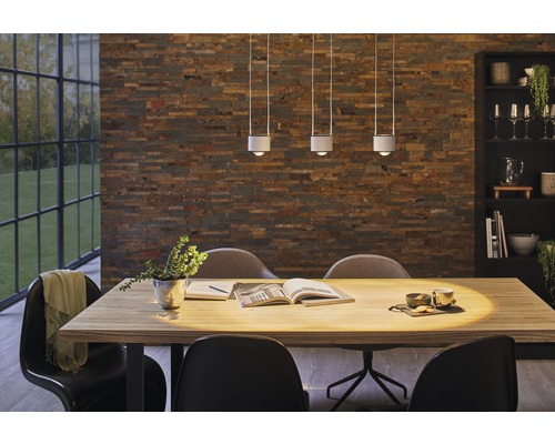 Paulmann URail LED hanglamp, dimbaar, 8,5W, 820 lm, 2700 K, Aldan zwart/chroom/mat, 230V