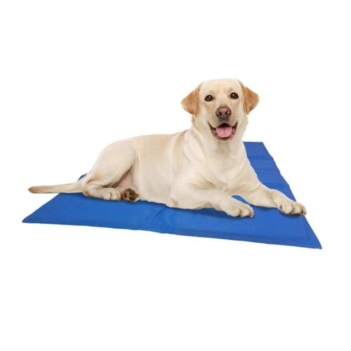 Tapete refrescante azul para cães