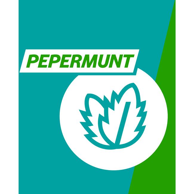 Gaviscon Kauwtabletten Pepermunt Maagzuurremmers 48 Stuks