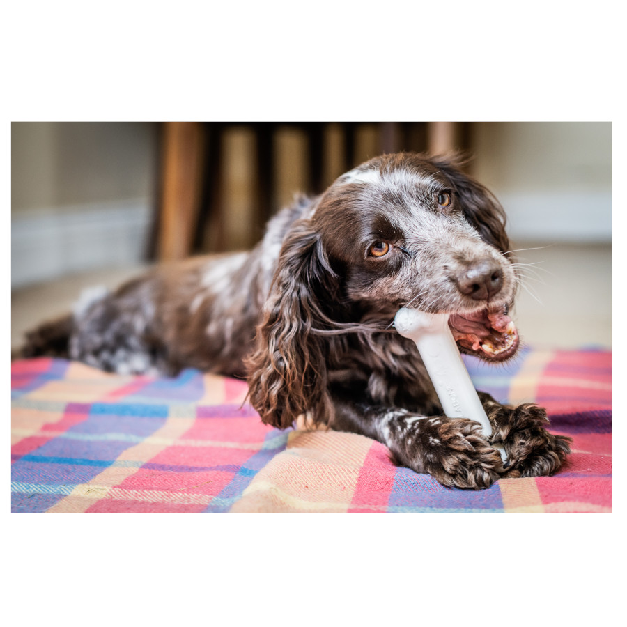Brinquedo para cães Nylabone Extreme Chew em formato de osso de galinha