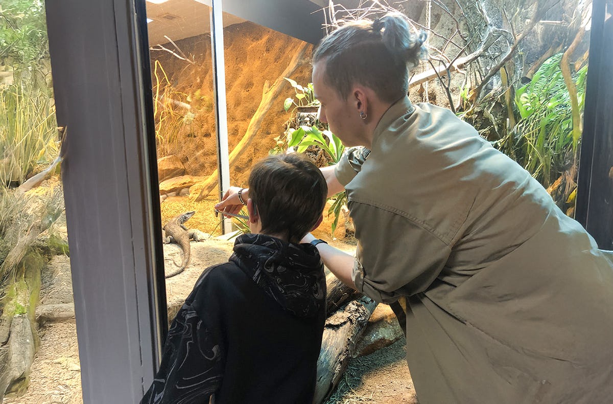 Tierpfleger Landau (Reptilien)
