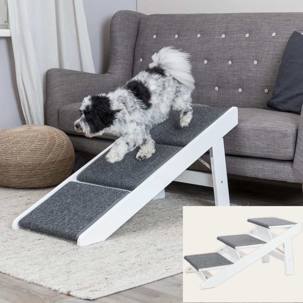 Rampa para animais de estimação
