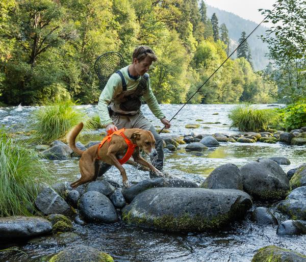 RUFFWEAR® Hundegeschirr Web Master™