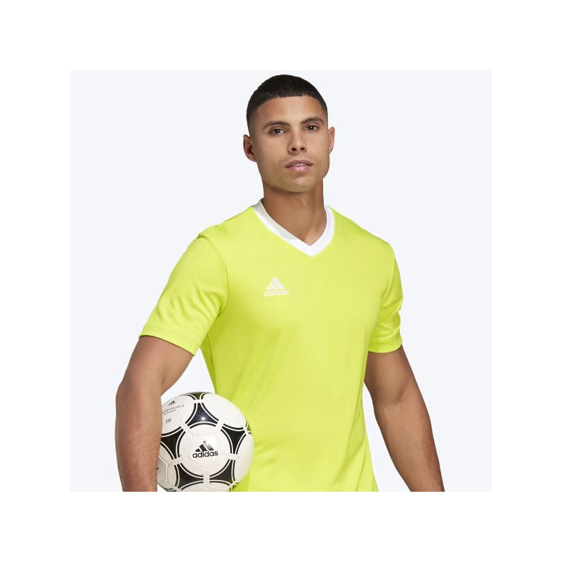 Tee-shirt sport Adidas Teamwear