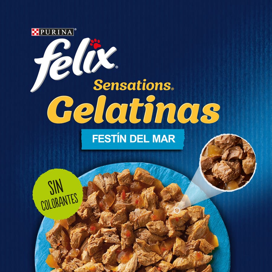 Sachês de gelatina Felix Sensations Sea Feast – Pacote múltiplo