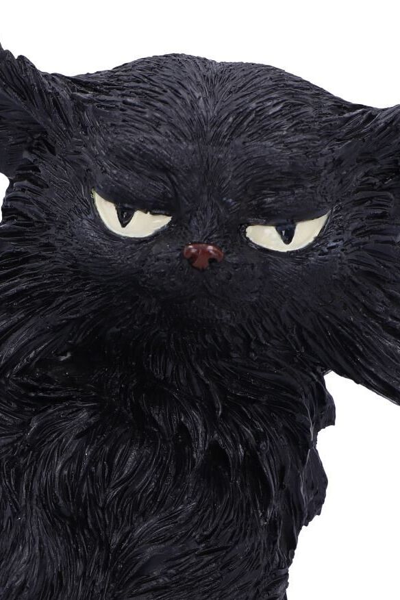 Salem | Nemesis Now Statuette