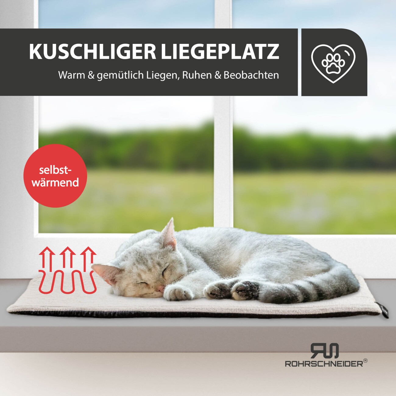 Rohrschneider ® Selbstwärmende Katzendecke, Fensterliege mit rutschfester Unterlage beige 60 cm, 2 cm, 29 cm