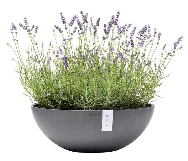Ecopots Kunststoff-Topf Vienna, oval