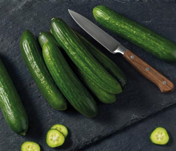 Dehner Premium Samen Mini-Gurke 'Party Time