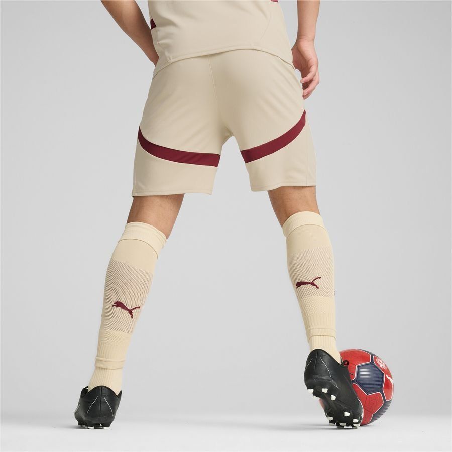 Puma FC Red Bull Salzburg 24/25 Shorts