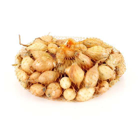 Bulbes d'oignons 'Sturon' en filet - 250 g