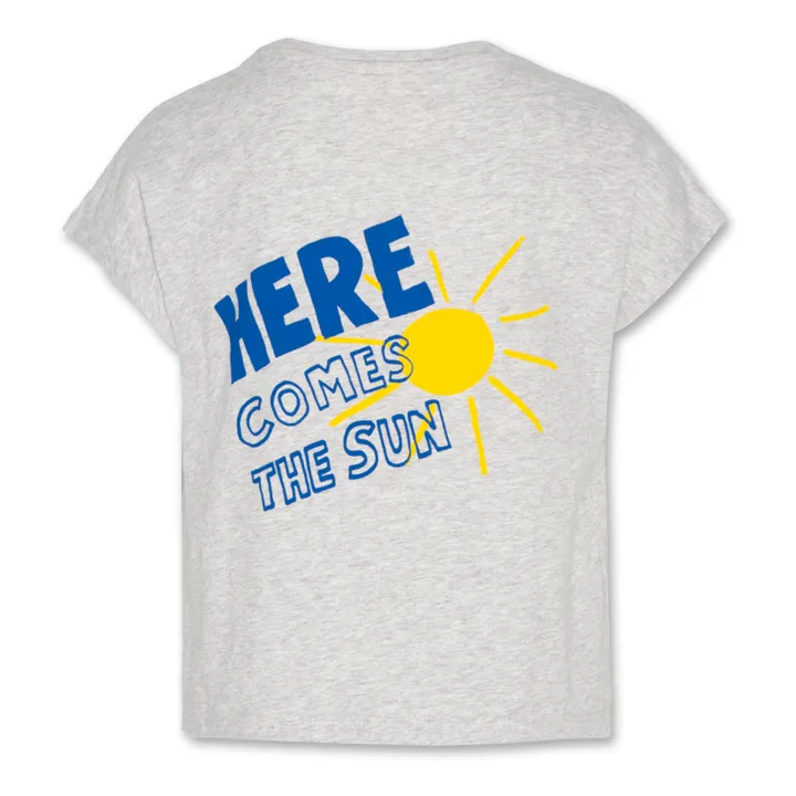 AO76 T-shirt Bo Sun Coton Bio | Gris chiné