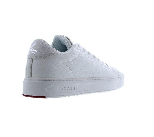 Loyalti Loyalti Patriot Reptile Trainers