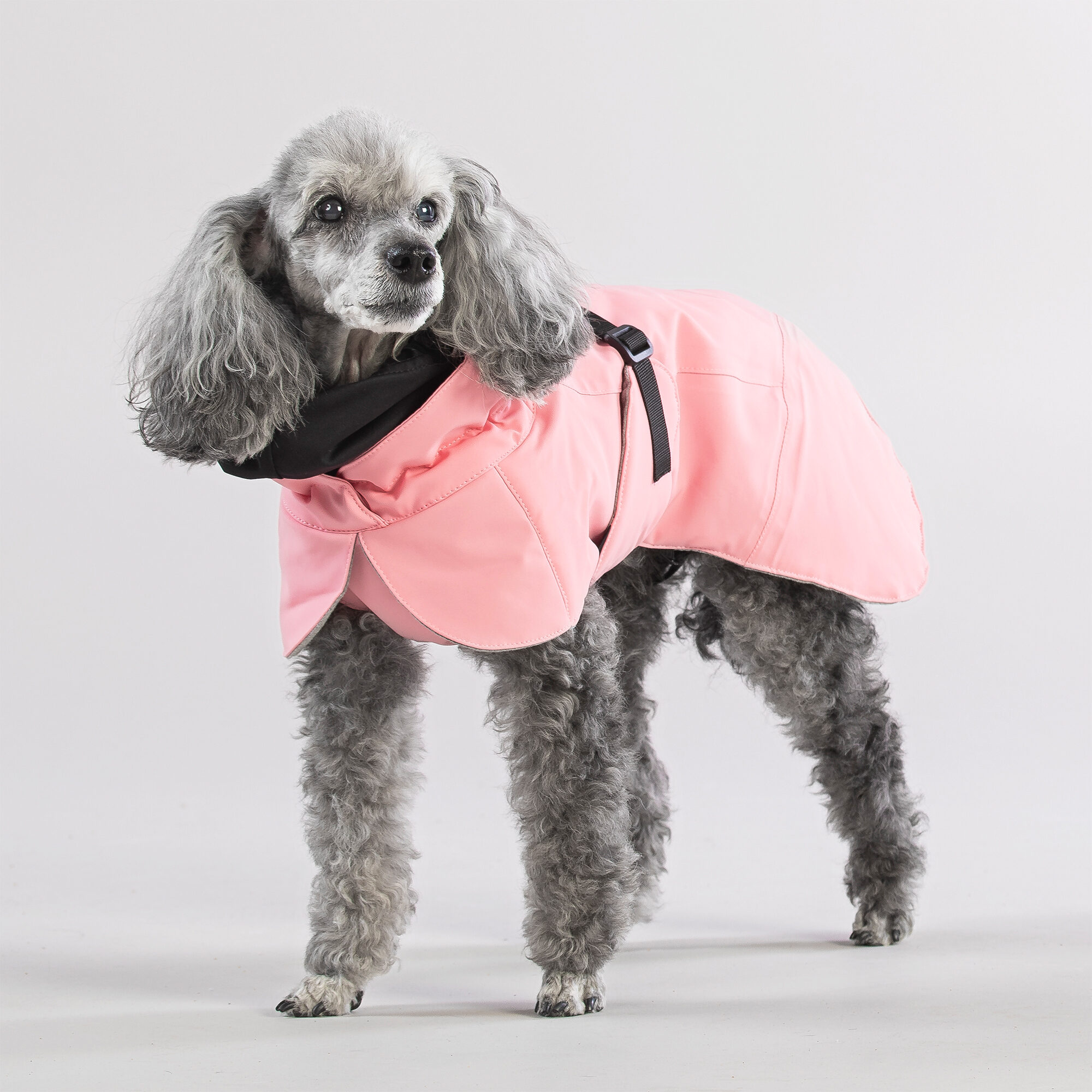 PAIKKA Visibility Winter Jacket