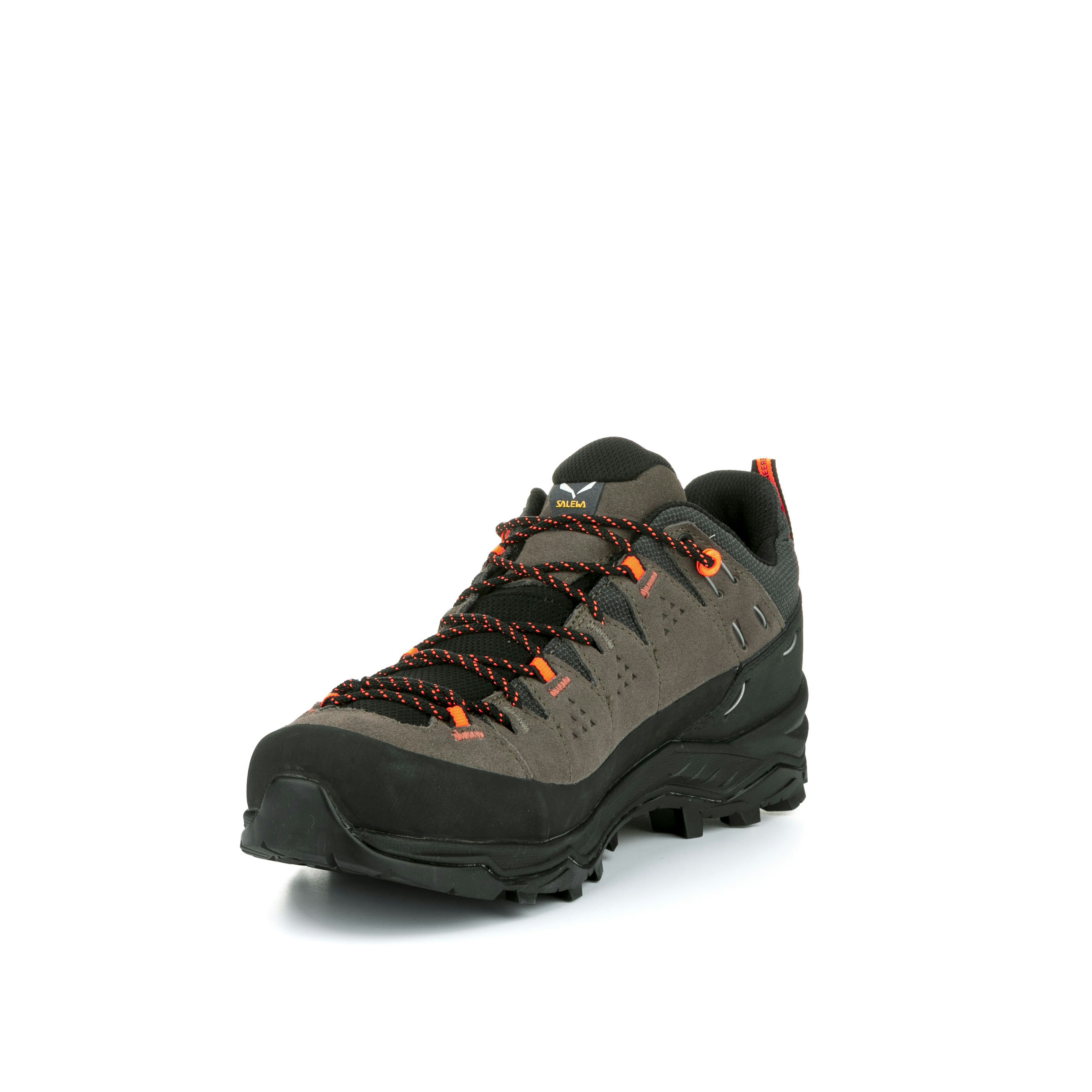 Alp Trainer 2 Gore-Tex® Schuh Herren