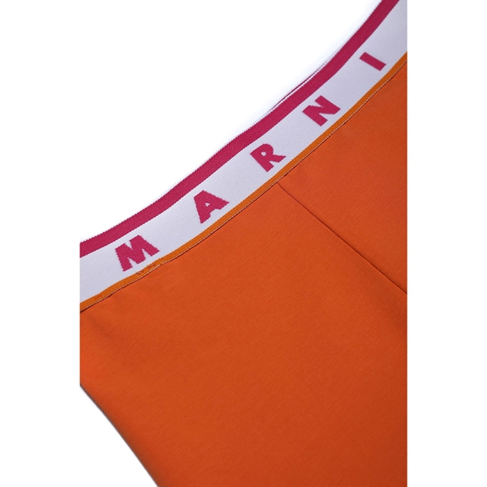 Nectarine Leggings - Marni → Luksusbaby.dk