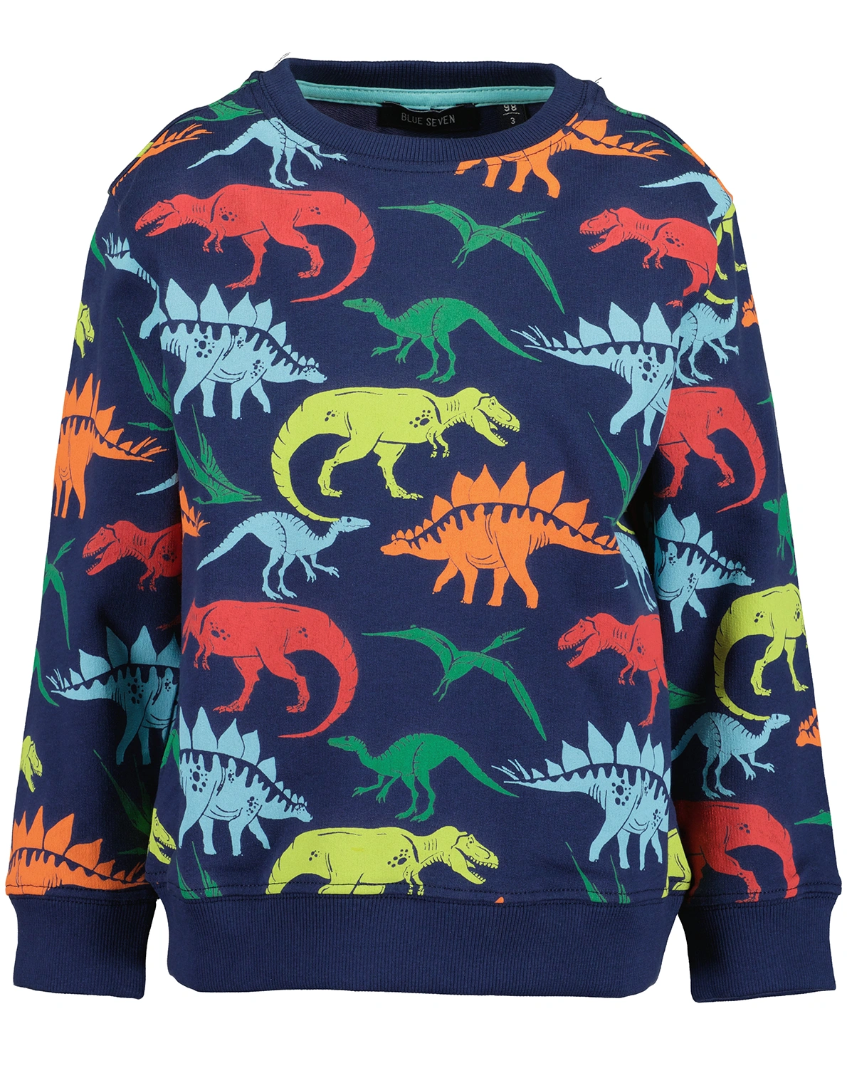 Sweatshirt DINO PARTY in dunkelblau