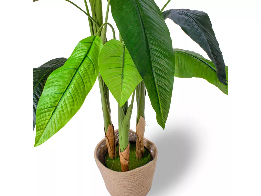Bird of Paradise - Plante artificielle en pot H160 cm