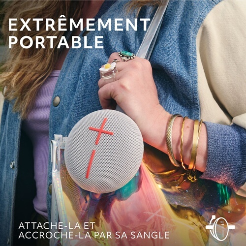Enceinte sans fil Ultimate Ears MINIROLL Revive Grey