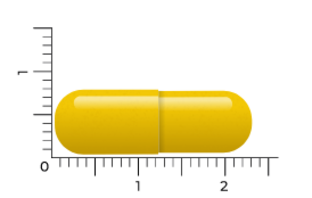 Vitakruid Berberine 500 Rebersa Capsules 90VCP