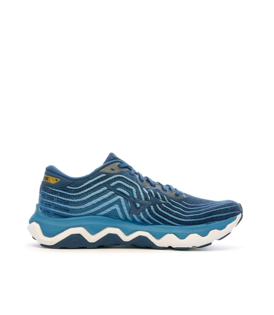 Chaussures de Running Bleu Homme Mizuno Wave Horizon 6