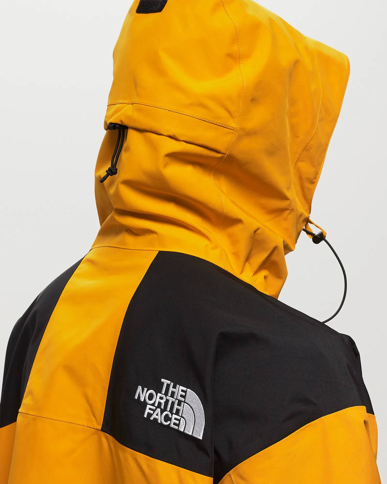 The North Face GTX Mtn Jacket