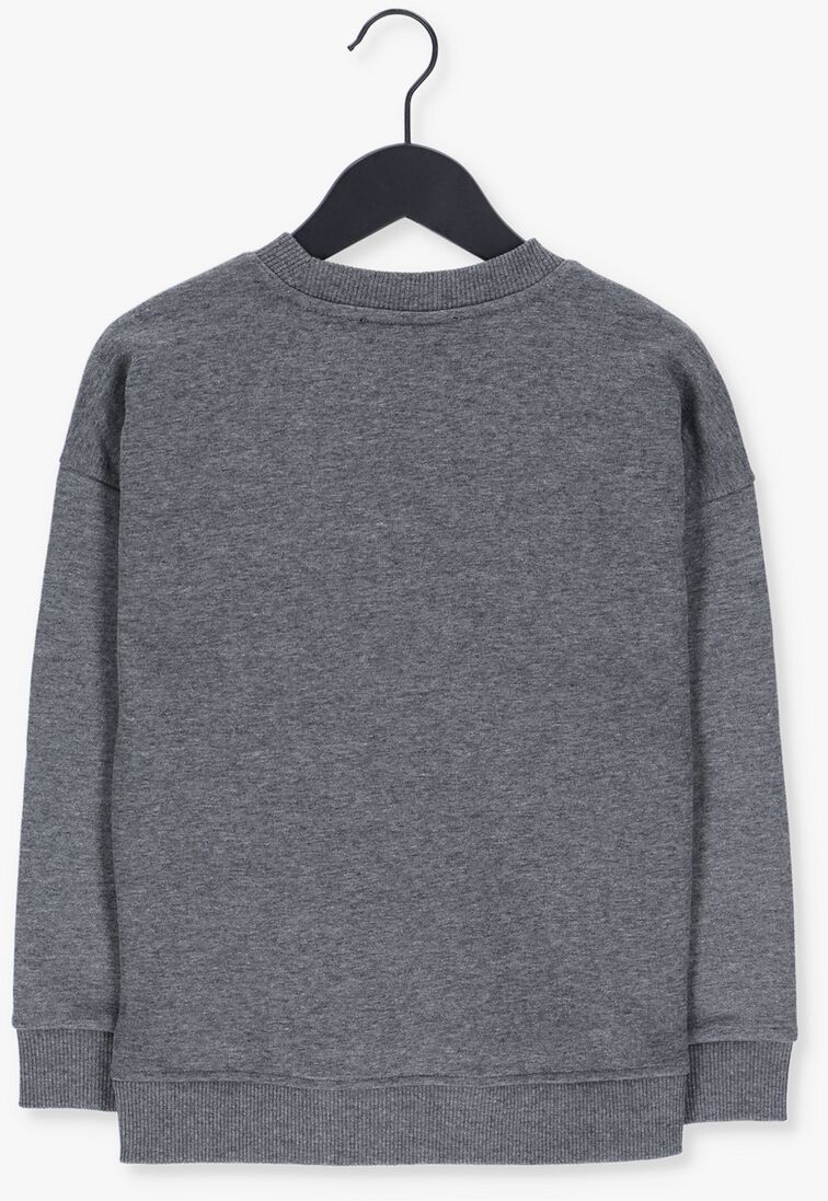 NIK & NIK grijze nik & nik sweater swirl logo sweatshirt