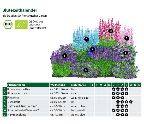 Bio Stauden-Set Romantischer Garten, 12-teilig