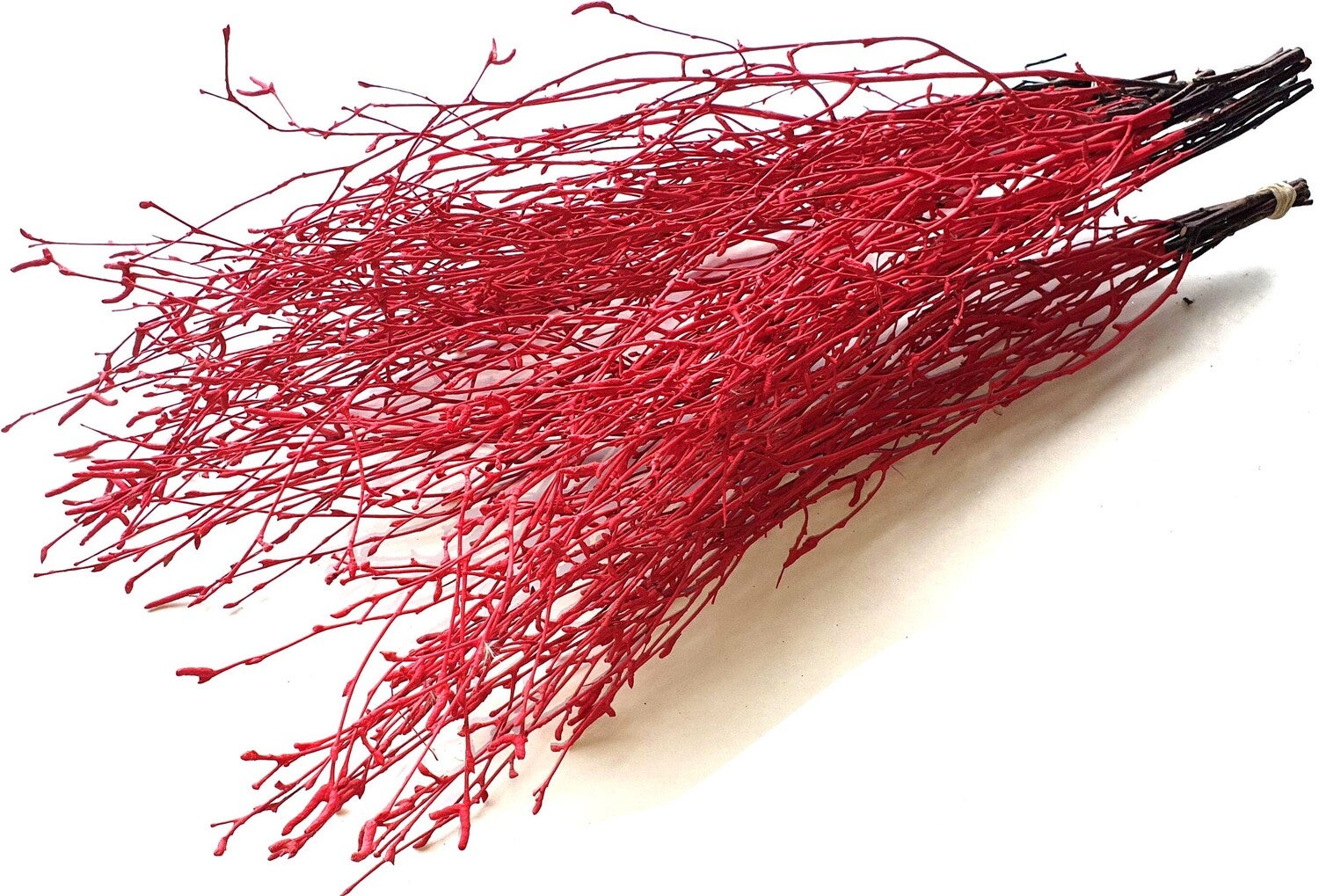 Decoratie takken berk Imani rood 70 cm 10 stuks