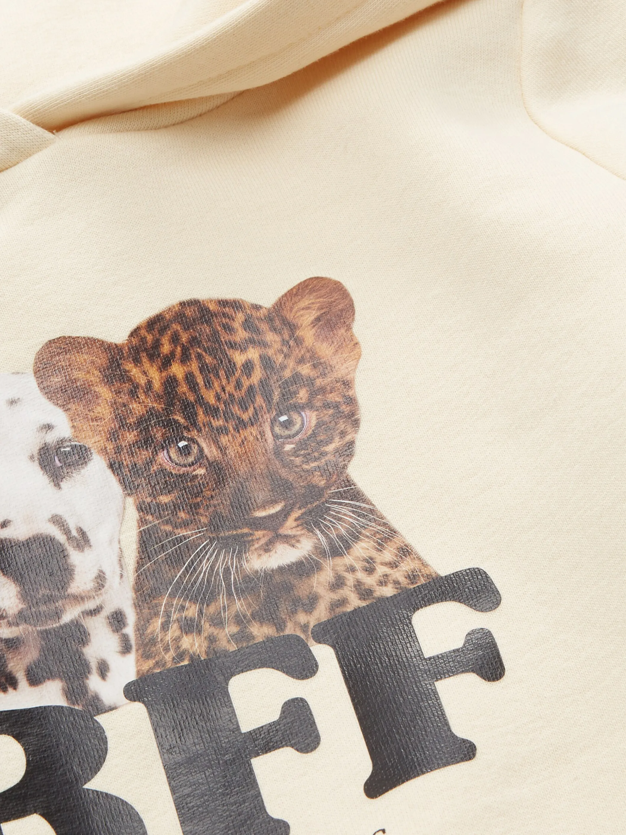 Kinder Hoodie mit Frontprint