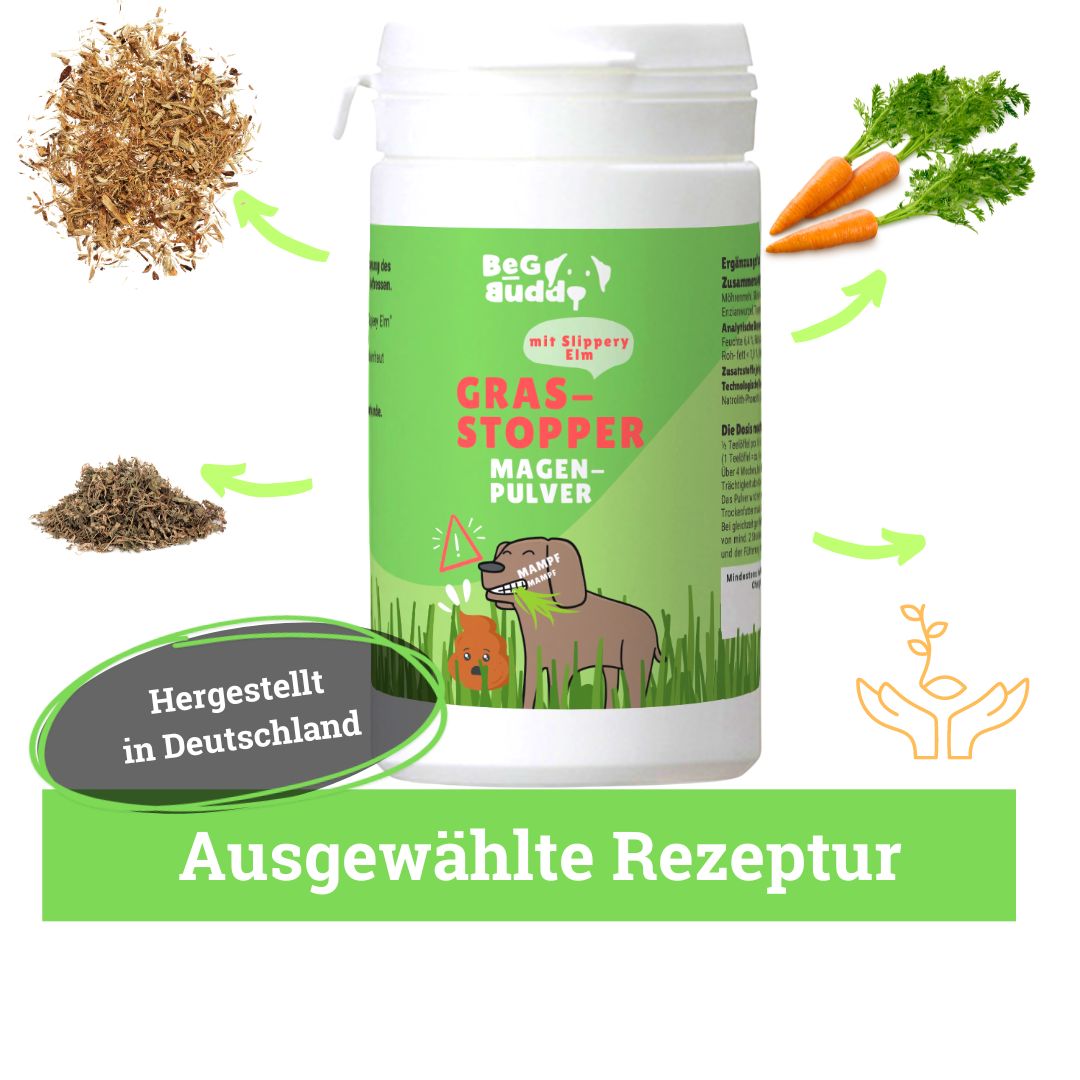 BeG Buddy Gras-Stopper für Hunde