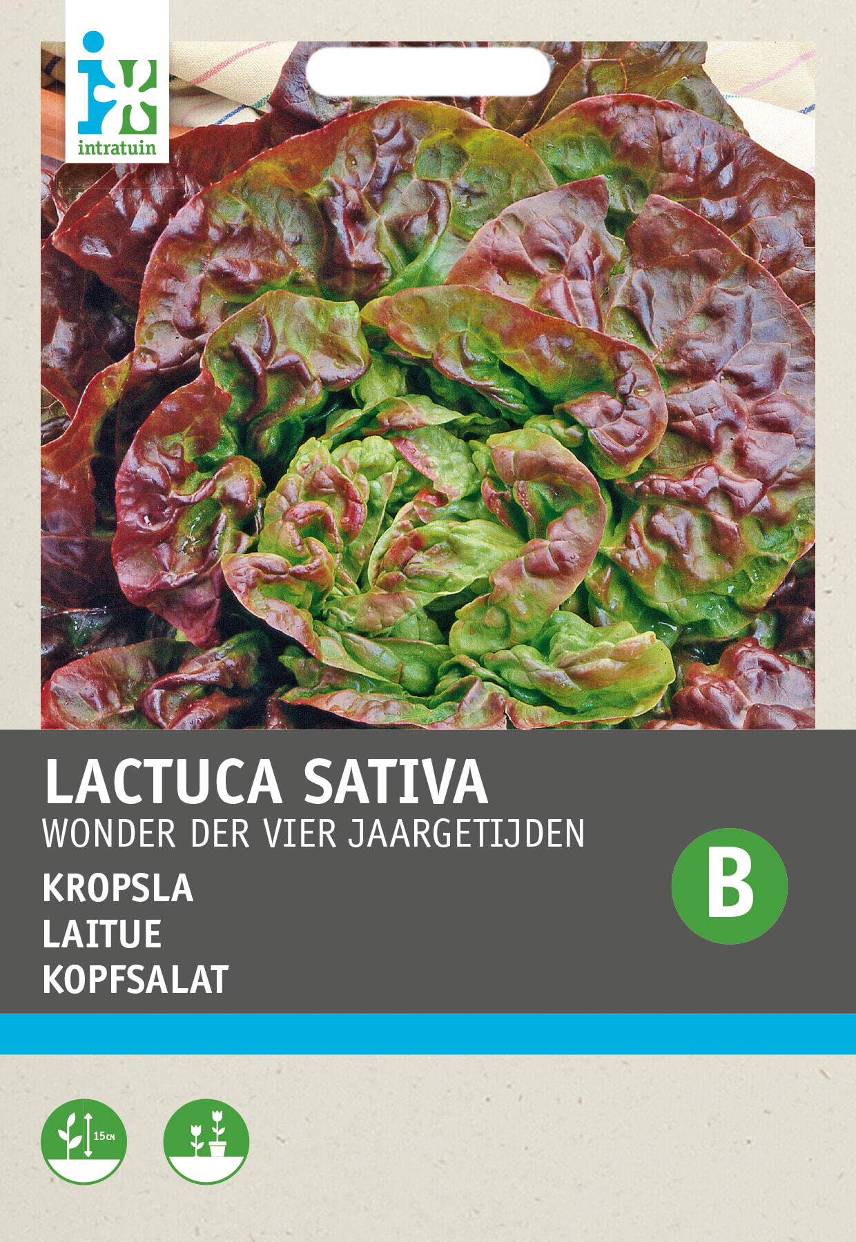 Intratuin groentezaad Kropsla (Lactuca sativa 'Wonder van 4 jaargetijden')