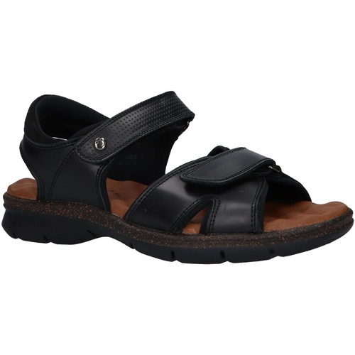 Panama Jack - SANDERS C14 Negro