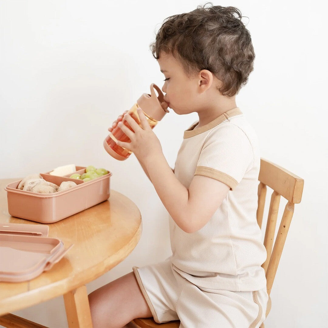 3 sprouts bento broodtrommel - rust