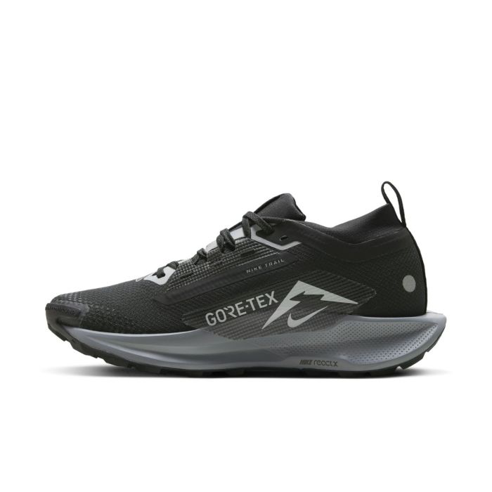 Nike Dame Trailsko Pegasus Trail 5 Gore-Tex Sort