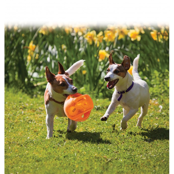 Ballon Jumbler