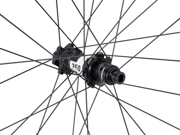 Roval Control Alloy 350 29