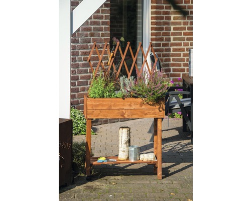 Verhoogd tuinbed op palen met trellis, mobiel, 79 x 28,5 x 130 cm, bruin gebeitst