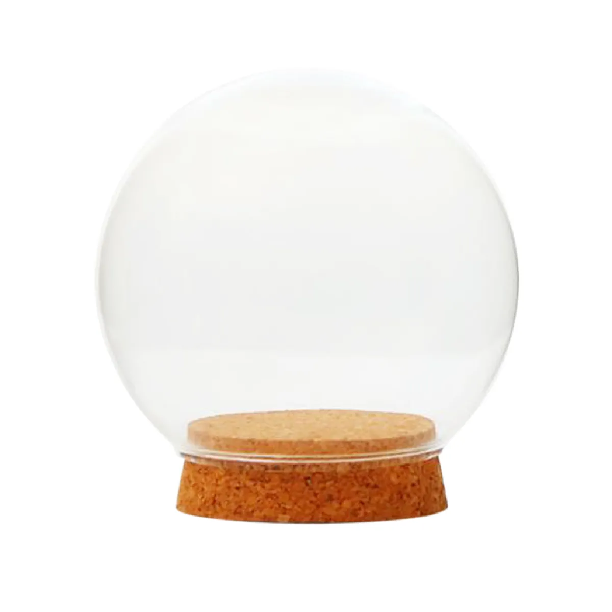 Boule de Verre Terrarium
