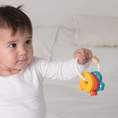 Plan toys sleutelrammelaar 5217