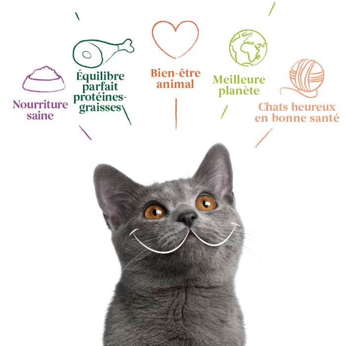 Yarrah sticks à mâcher bio pour chat