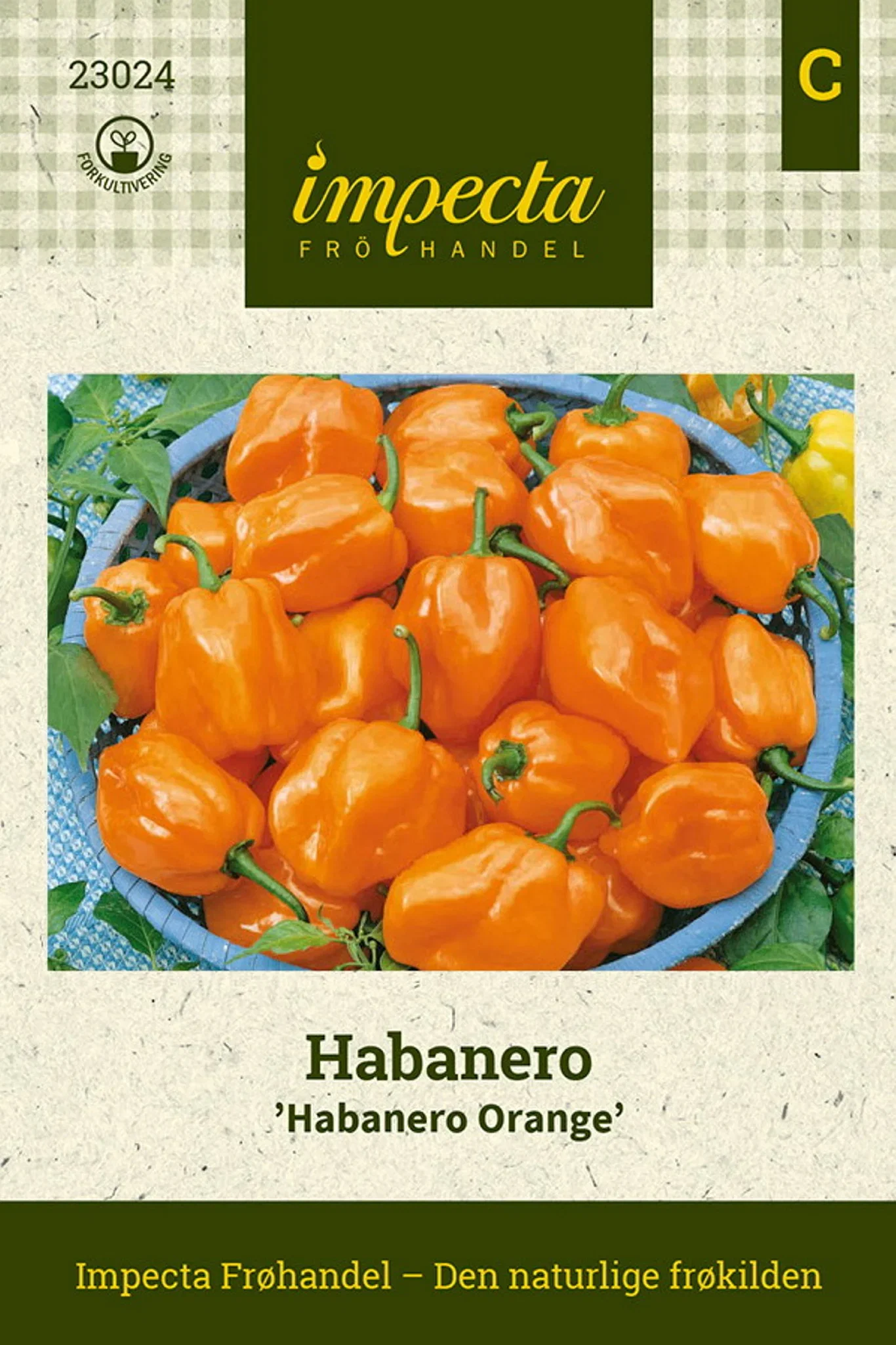 Capsicum chinense 'Habanero Orange' Habanero 'Habanero Orange'