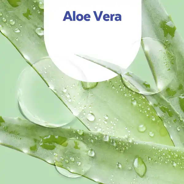 Flüssige Handseife Aloe Vera