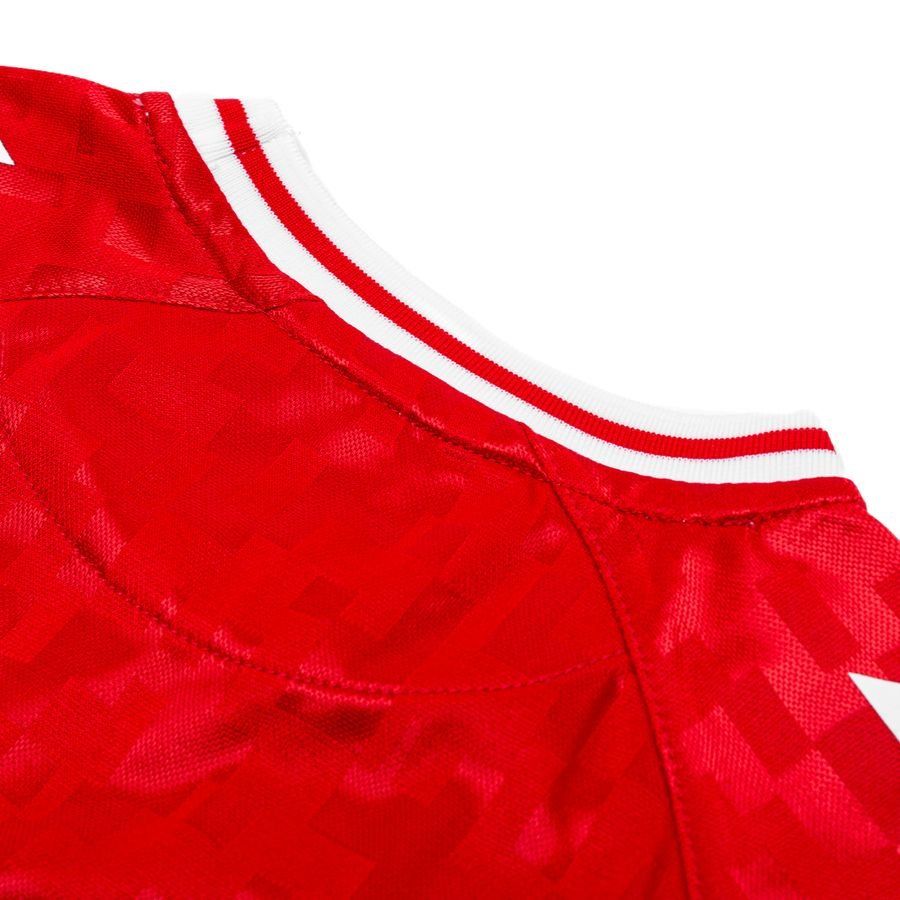 Danemark Maillot Domicile 2024/25 Enfant